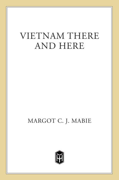 Cover image for book Vietnam There and Here