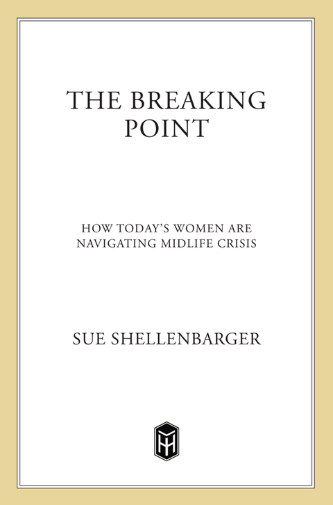 Cover image for book The Breaking Point