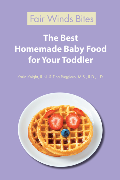 Cover image for book The Best Homemade Baby Food For Your 10-11 Month Old