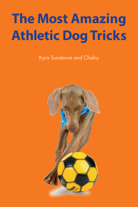 Cover image for book The Most Amazing Silly Dog Tricks