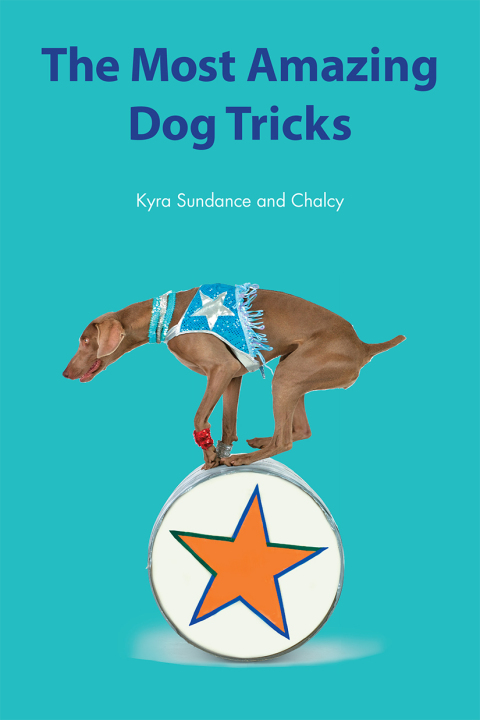 Cover image for book The Most Amazing Silly Dog Tricks