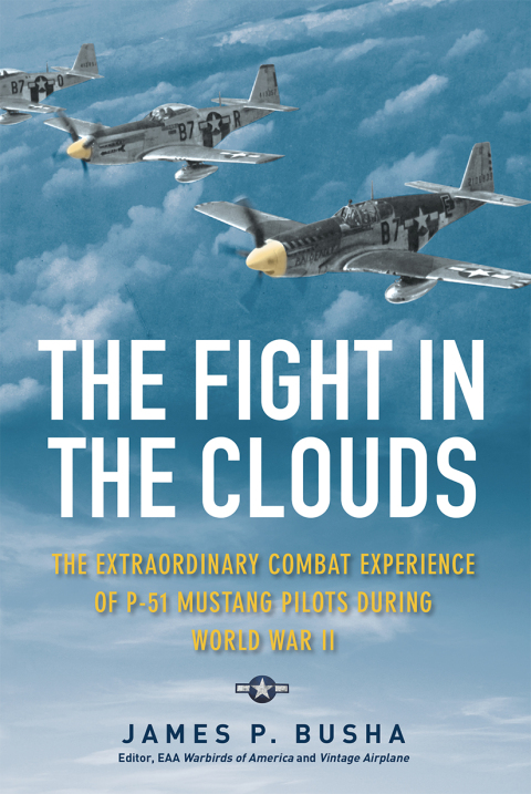 Cover image for book The Fight in the Clouds