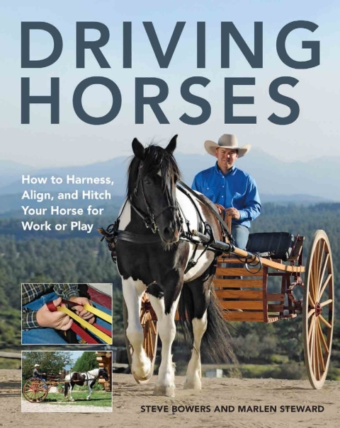 Cover image for book Driving Horses