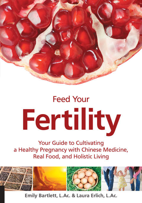 Cover image for book Feed Your Fertility