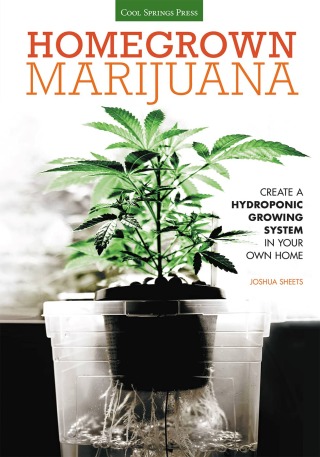 Homegrown Marijuana