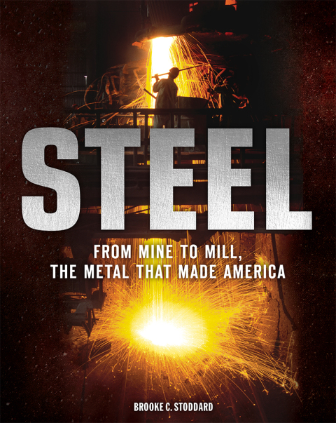 Cover image for book Steel
