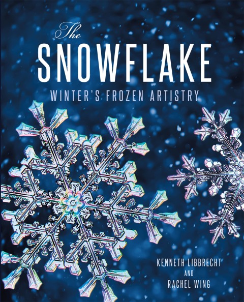 Cover image for book The Snowflake
