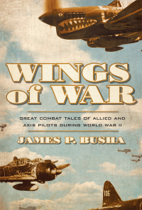 Cover image: Wings of War 9780760348529