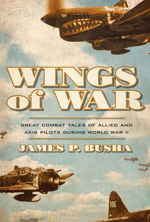 Cover image for book Wings of War