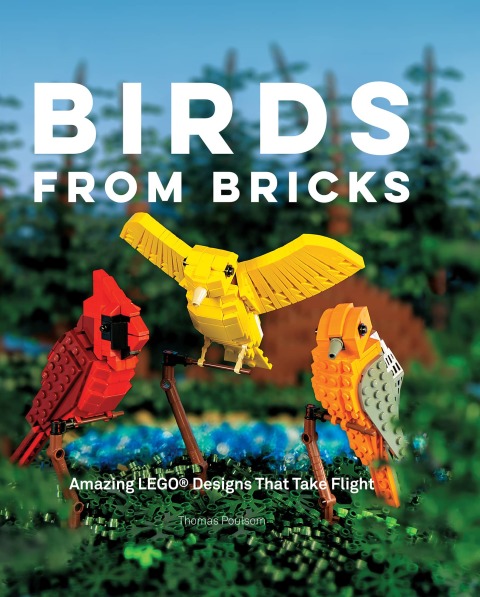Cover image for book Birds from Bricks