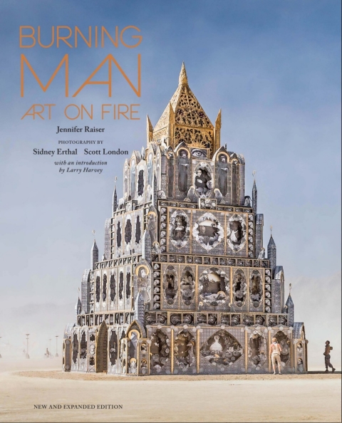 Cover image for book Burning Man