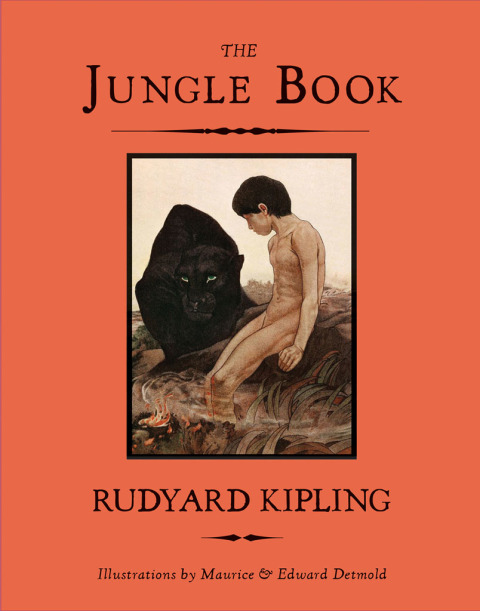 Cover image for book Draw Your Own Story, The Jungle Book