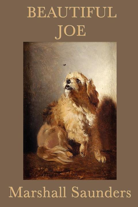 Cover image for book Beautiful Joe