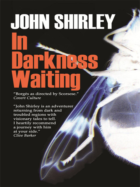 Cover image for book In Darkness Waiting