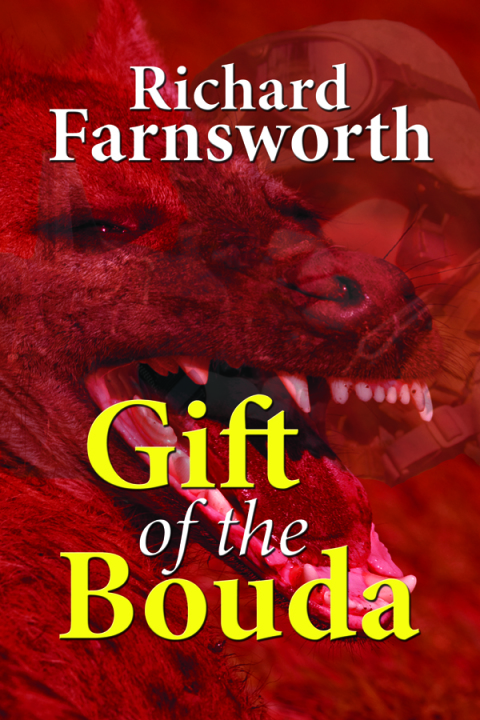 Cover image for book Gift of the Bouda