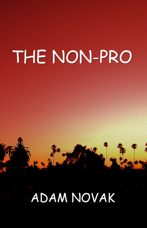 Cover image for book The Non-Pro