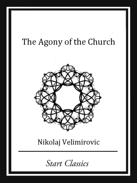 Cover image for book The Agony of the Church