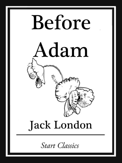 Cover image for book Before Adam