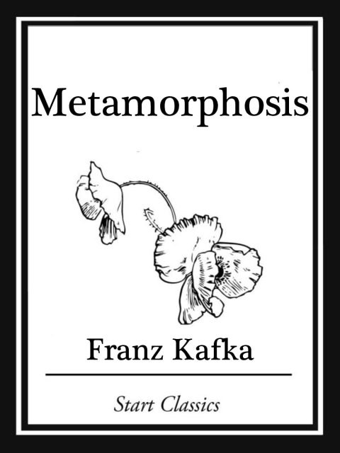 Cover image for book Metamorphosis