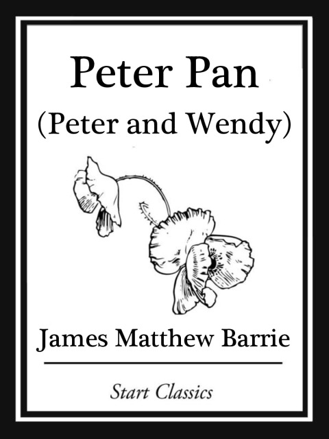 Cover image for book Peter Pan