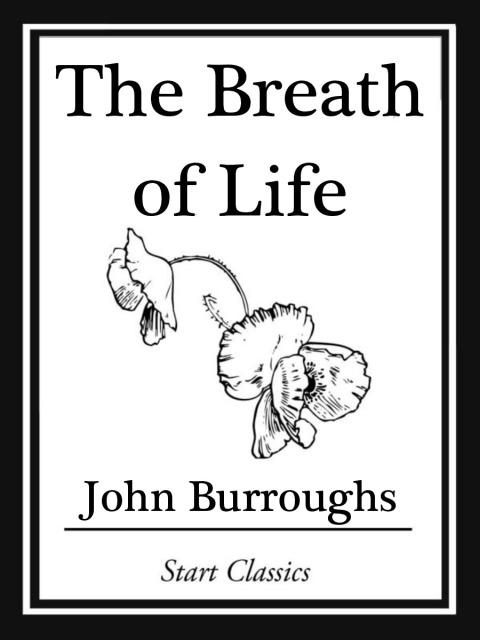 Cover image for book The Breath of Life