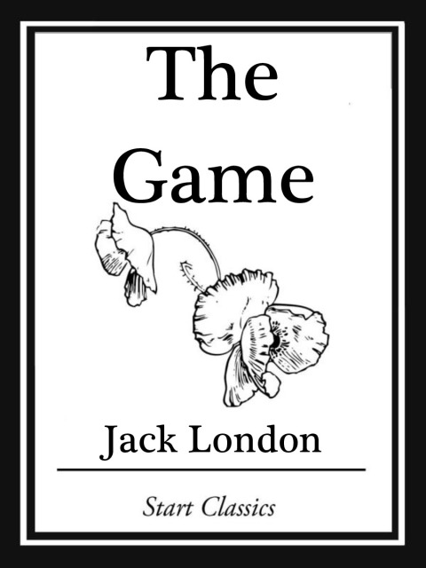 Cover image for book The Game