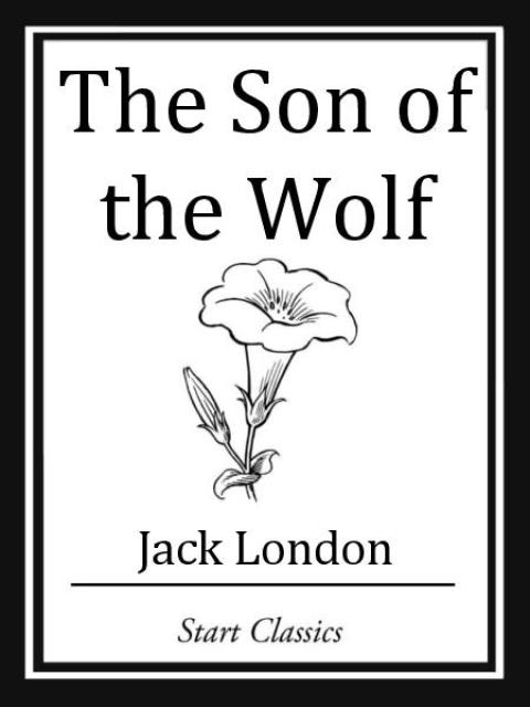 Cover image for book The Son of the Wolf