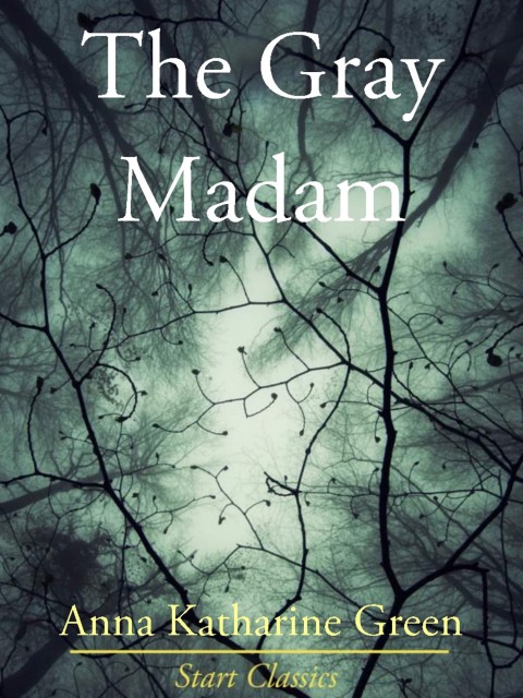 Cover image for book The Gray Madam
