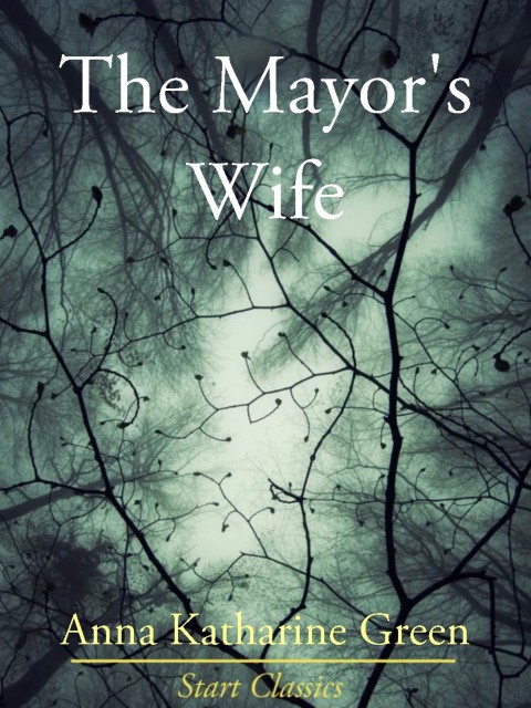 Cover image for book The Mayor's Wife