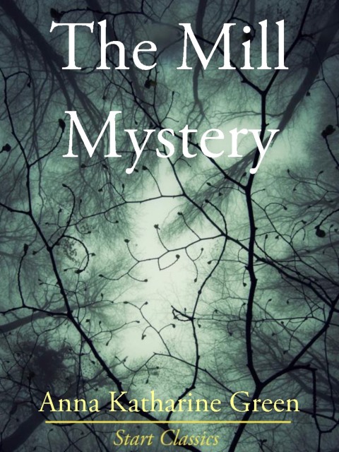 Cover image for book The Mill Mystery