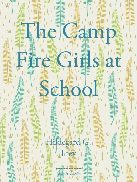 Cover image for book The Camp Fire Girls at School