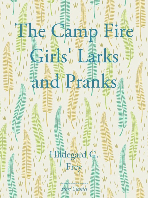 Cover image for book The Camp Fire Girls' Larks and Pranks