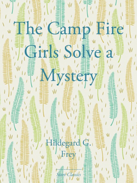 Cover image for book The Camp Fire Girls Solve a Mystery