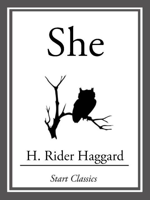 Cover image for book She