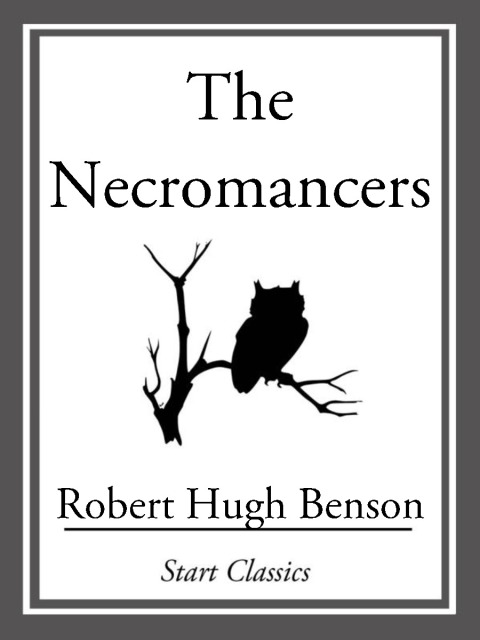 Cover image for book The Necromancers