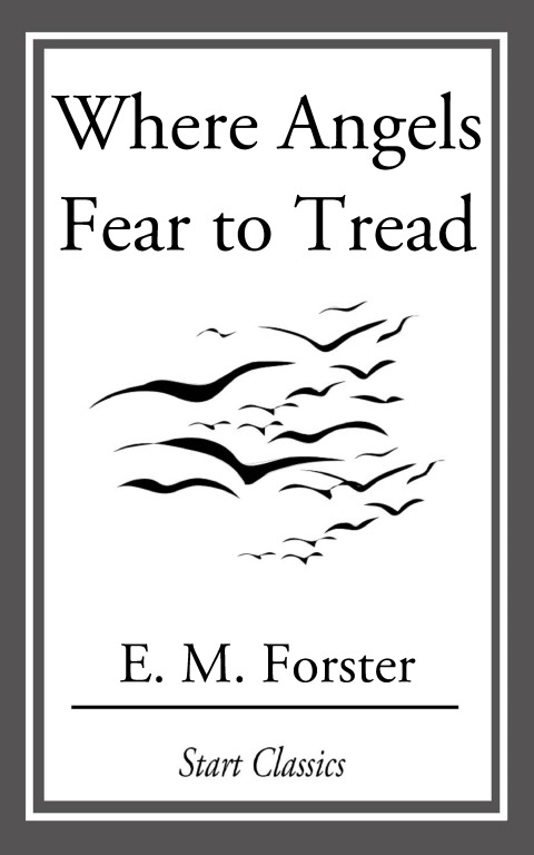 Cover image for book Where Angels Fear to Tread