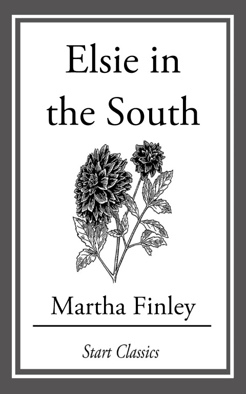 Cover image for book Elsie in the South