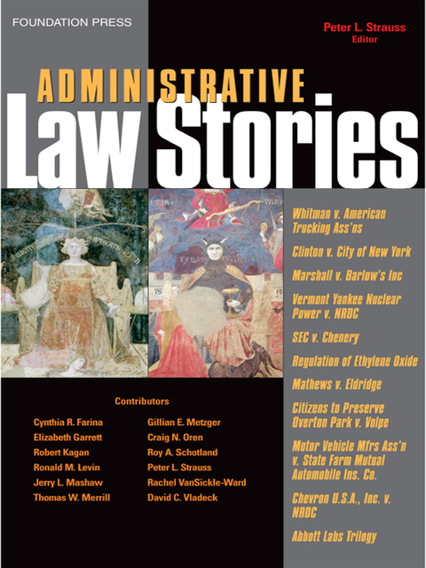 Cover image for book Strauss' Administrative Law Stories
