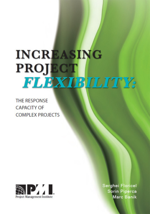 Cover image for book Increasing Project Flexibility
