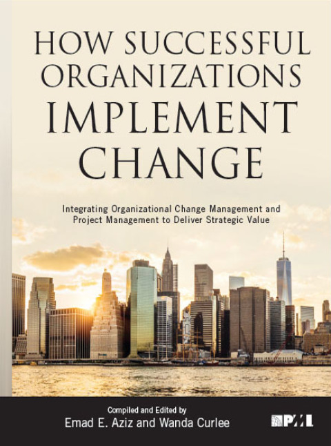Cover image for book How Successful Organizations Implement Change