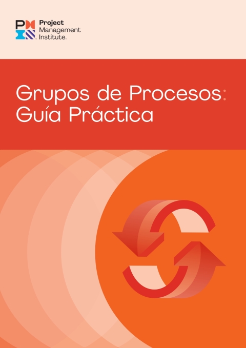 Cover image for book Process Groups: A Practice Guide (SPANISH)