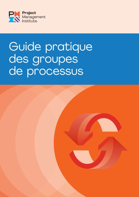 Cover image for book Process Groups: A Practice Guide (FRENCH)