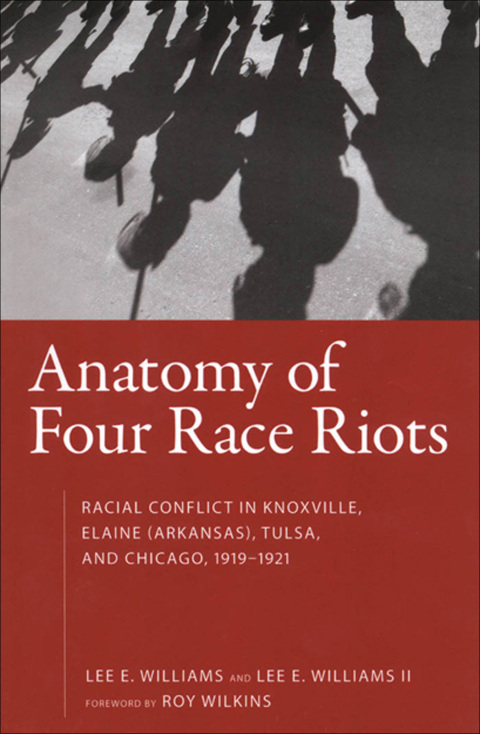 Cover image for book Anatomy of Four Race Riots