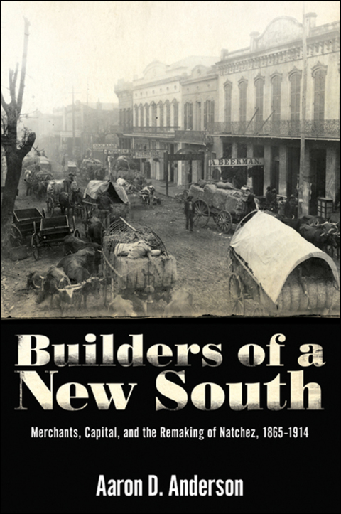Cover image for book Builders of a New South
