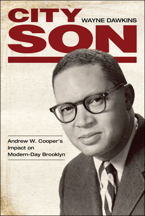 Cover image for book City Son