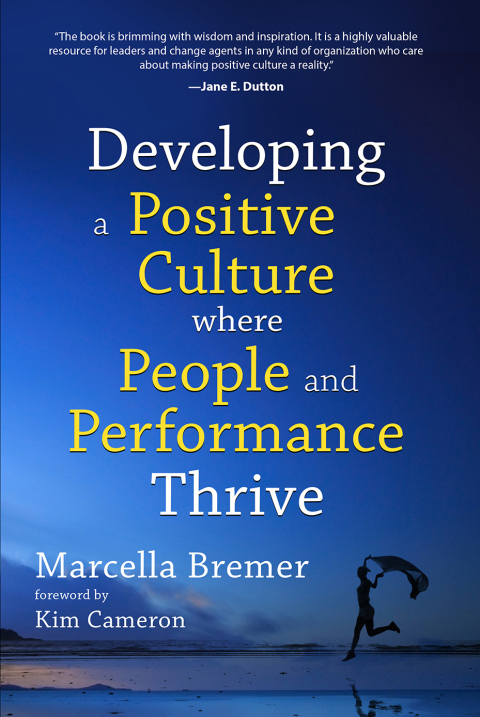 Cover image for book Developing a Positive Culture Where People and Performance Thrive