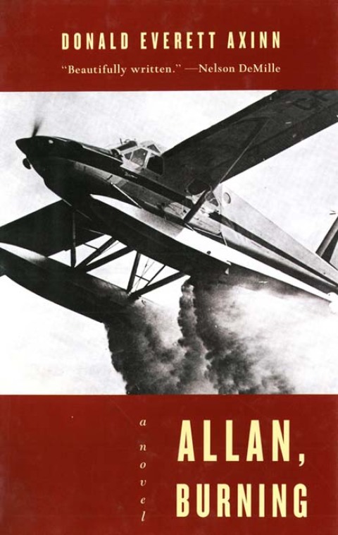 Cover image for book Allan, Burning: A Novel