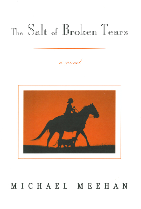 Cover image for book The Salt Of Broken Tears: A Novel