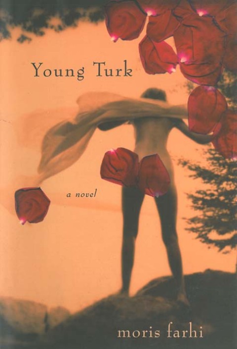 Cover image for book Young Turk: A Novel