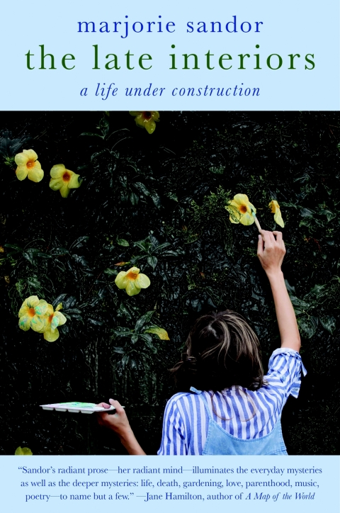 Cover image for book The Late Interiors